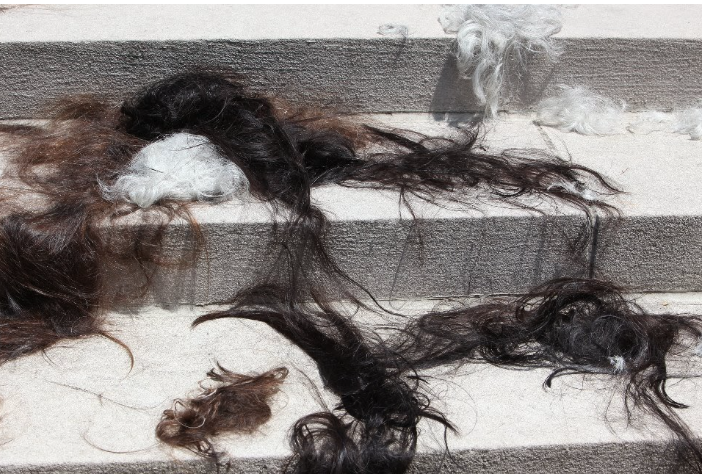 The image shows piles the protester's hair. The long hair is laying on white concrete steps. The chunks of hair apparently come from multi people, as they range in color from white, black, and brown.