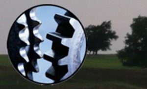 Book Series Logo