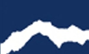 Book Series Logo