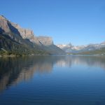 Conference Archives and Edited Collections