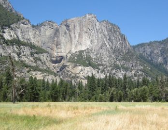 4A81A786-D068-43E5-9ED29545410D3F01_source