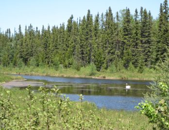 529203D4-230C-45AC-A9A3D7AE7654F07F_source