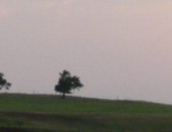 8197E0D7-CBCA-4057-AABFA4C25483FF51_source