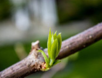 9F3A3325-938B-44B0-B1BE395CC4644B85_source