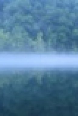 A5F13768-D808-4104-9986FE5EF62CF77C_small