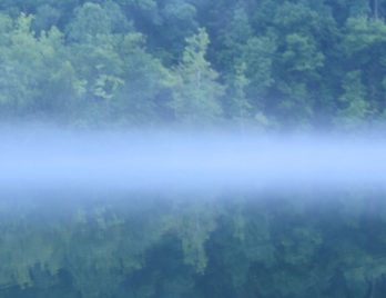 D652CD5A-0635-437A-819408DD9EF2ABC5_source